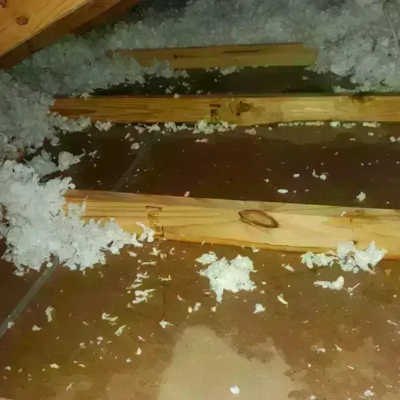 Attic Water Damage in Bar Harbor, ME